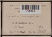 Image Associated With the Occurence